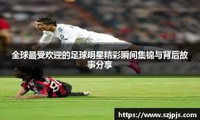 大谷翔平在 2023 年 9 月宣布接受手肘手术，天使球迷通过标语表达对其的感谢